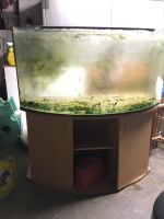 Aquarium 450 Liter Niedersachsen - Nörten-Hardenberg Vorschau