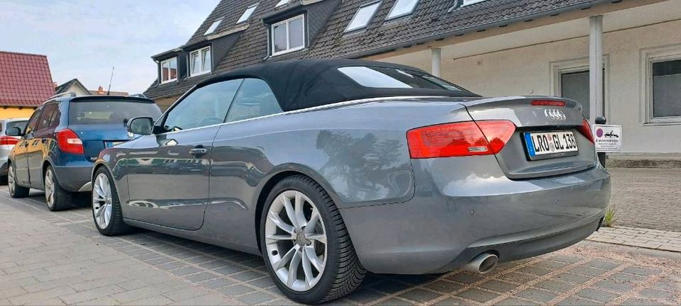 Audi A5 Cabrio/ B&O /Quattro /3L /Automatik/Scheckheft in Laage