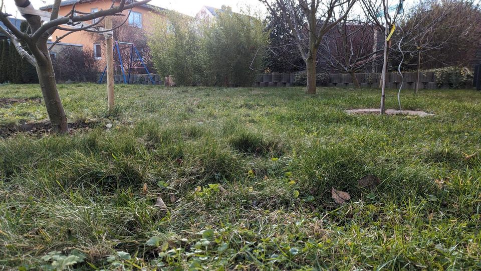 Rasen Boden Wiese begradigen Gartenfirma in Pesterwitz