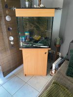 Aquarium komplett Pfingstwoche Angebot 120€ Niedersachsen - Salzgitter Vorschau