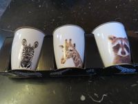 Tasse Set 6tlg Kaffeetasse Safari Tiermotiv NEU 125 ml Nordrhein-Westfalen - Nideggen / Düren Vorschau
