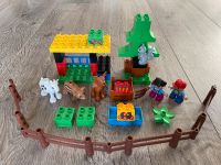 Lego Duplo 10582 Wildtiere Waldtiere Bayern - Großenseebach Vorschau