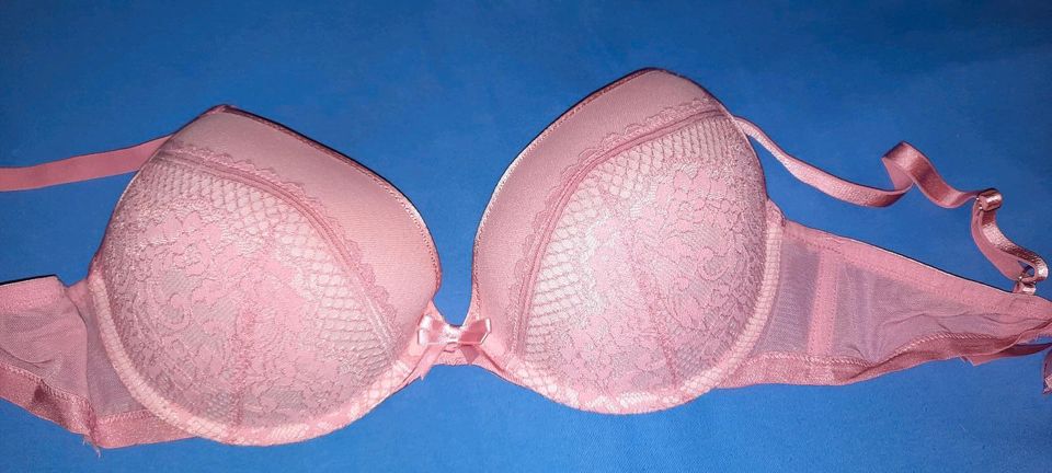 Verschiedene push up bhs hunkemöller neu! in Kiel