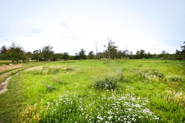 Bauherr gesucht! 19.223m² großes Baugrundstück in Hausneindorf... in Selke-Aue