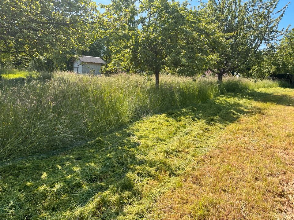 Mähen/ Mulchen in Steinheim an der Murr