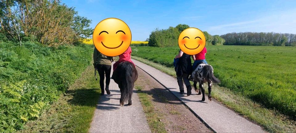 Biete Reittherapie direkt in Zörbig in Zörbig