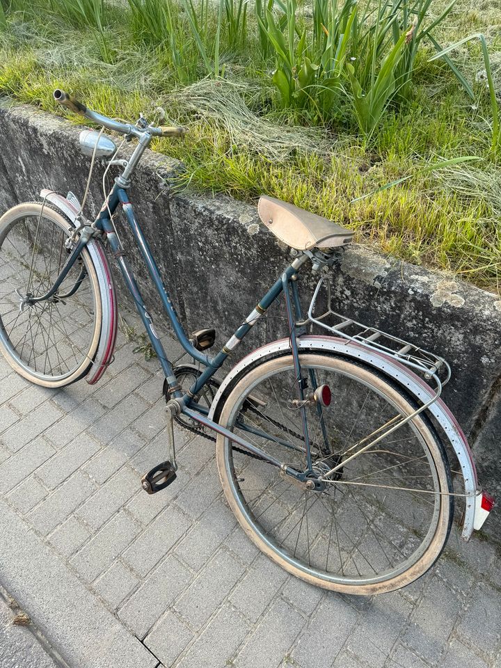 NSU Damen Fahrrad Oldtimer Rad Retro Vintage 26 Z. Torpedo 3G in Neudenau 