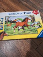 Zwei Puzzles von Ravensburger je 24 Teile Niedersachsen - Bramsche Vorschau