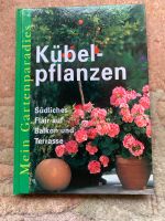 Buch Kübelpflanzen Wuppertal - Elberfeld Vorschau