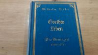 Goethes Leben, Wilhelm Bode, Die Geniezeit, Buch 1922 München - Sendling-Westpark Vorschau