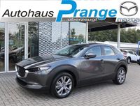 Mazda CX-30 M-Hybrid Selection X-180 ACT-P NAVI MRCC 3 Niedersachsen - Hilter am Teutoburger Wald Vorschau