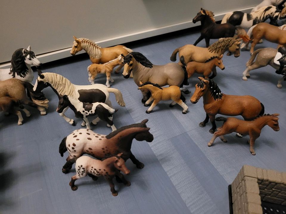 Schleich Pferde Sammlung in Hamm
