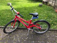 Kokua Kinderfahrrad Like to bike 24 Zoll rot Hessen - Gießen Vorschau