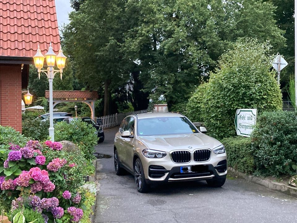 BMW X3 SUV schwenkbare Anhängerkupplung in Groß-Umstadt