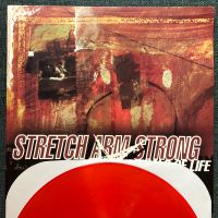 Stretch Armstrong Vinyl Lp Rituals of Life Ferret bane turnstile Berlin - Neukölln Vorschau
