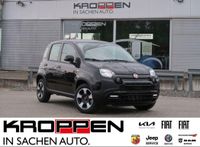 Fiat Panda Hybrid City Plus 1.0 GSE Tech Plus Paket Nordrhein-Westfalen - Herten Vorschau