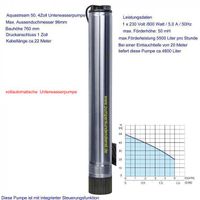 4 Zoll Unterwasserpumpe mit integrierter Schaltung Restposten Berlin - Hellersdorf Vorschau