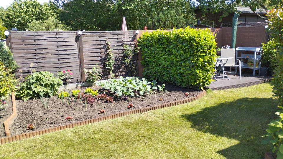 Kleingarten zu verkaufen in Brandenburg Cottbus Grundstück & Garten