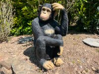 Schimpanse Dekoration Gartenfigur Zoo Urlaub Urwald Rheinland-Pfalz - Waldbreitbach Vorschau