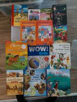 Kinderbücher, Kinderbibel, Bibel, Bücher, Geschichten, Vorlesen Niedersachsen - Ronnenberg Vorschau