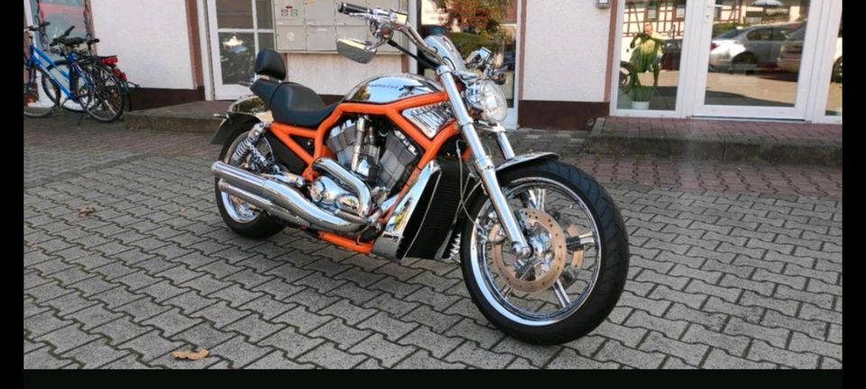 Harley Davidson V Rod VRSC B in Bickenbach
