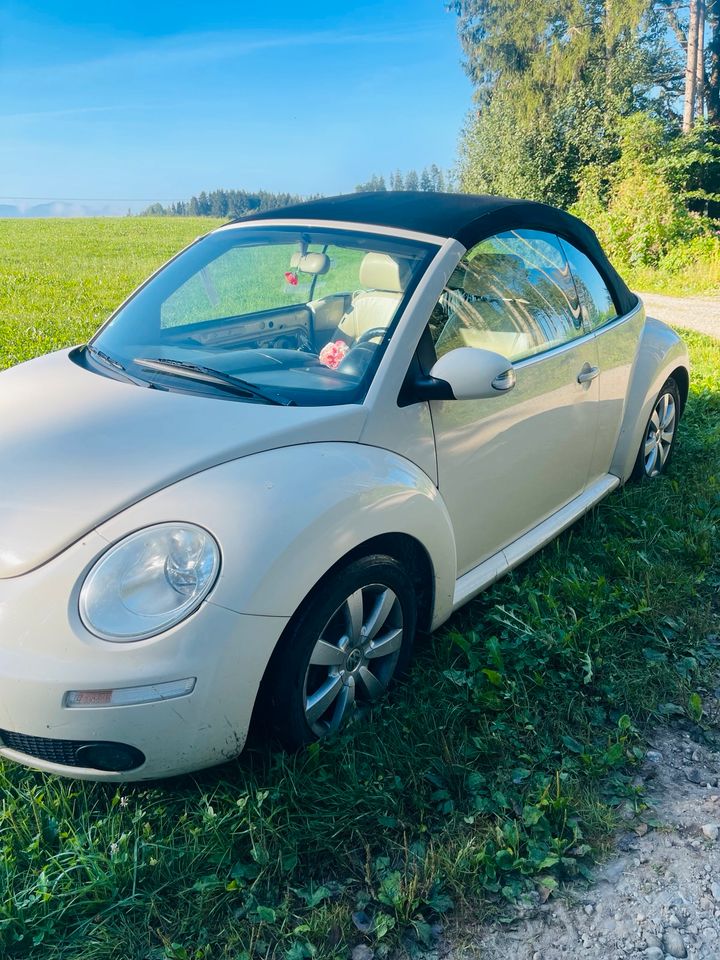 New Beetle Cabrio Alabastro in Halfing