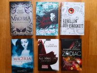 Bücherkiste mit 6 Romanen, Fantasie, Science fiction, sehr guter Bayern - Elsenfeld Vorschau