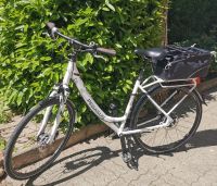 Damen City-Bike PEGASUS OPERA SL Sachsen-Anhalt - Bernburg (Saale) Vorschau