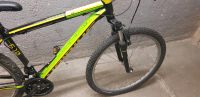 Fahrrad Herrenfahrrad 26" vollfahrbereit Mountainbike München - Bogenhausen Vorschau