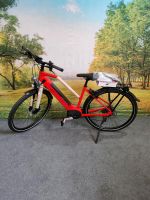 Raleigh/Kalkhoff Ebike Bosch Mittelmotor Neu Niedersachsen - Molbergen Vorschau