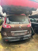 Schlachtfest Renault, Scenic bj 09 1,9 dci Baden-Württemberg - Weinheim Vorschau