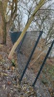 Doppelstabmatten, Zaun aus Polen Mecklenburg-Vorpommern - Anklam Vorschau