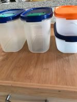 4Tupperware Eidgenossen plus Backpinsel und Apfelausstecher usw. Rheinland-Pfalz - Bingen Vorschau