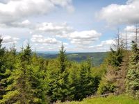 Wald, Wiese, Ackerland, Grundstück, Forst Thüringen - Floh-Seligenthal Vorschau