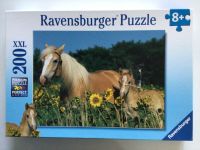 Ravensburger Puzzle XXL 200 Teile Pferde ab 8 Jahren Niedersachsen - Nordhorn Vorschau