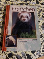 Frettchen Buch Niedersachsen - Gifhorn Vorschau