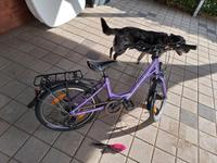 cube ella 200 Kinder mountainbike 20" 7 Gänge Nordrhein-Westfalen - Siegburg Vorschau