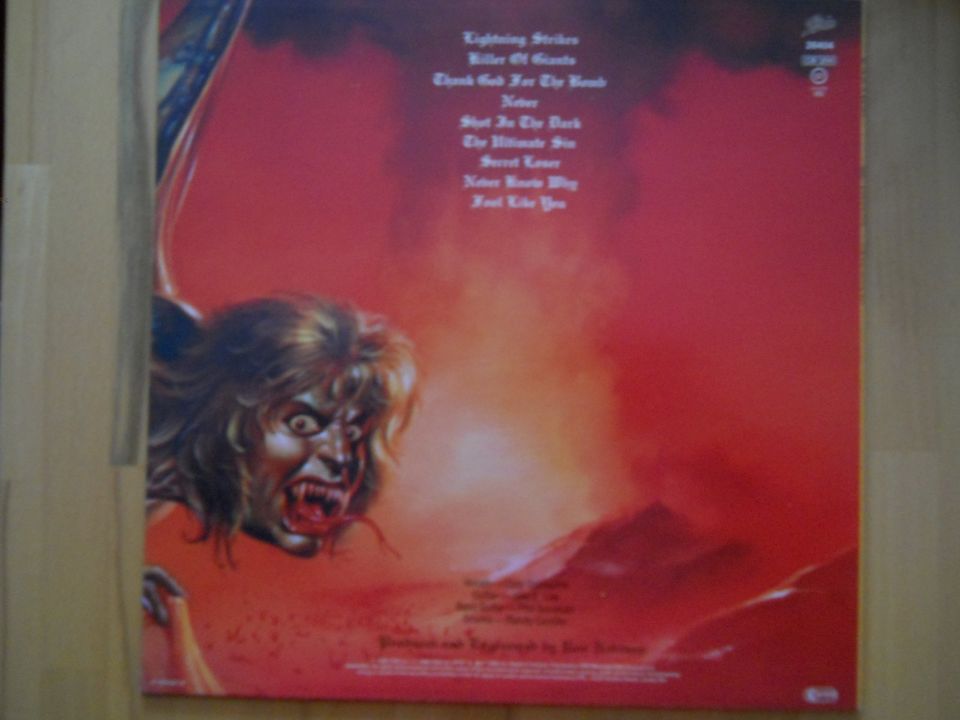 Ozzy Osbourne ‎– The Ultimate Sin - Vinyl LP in Buckenhof Mittelfranken
