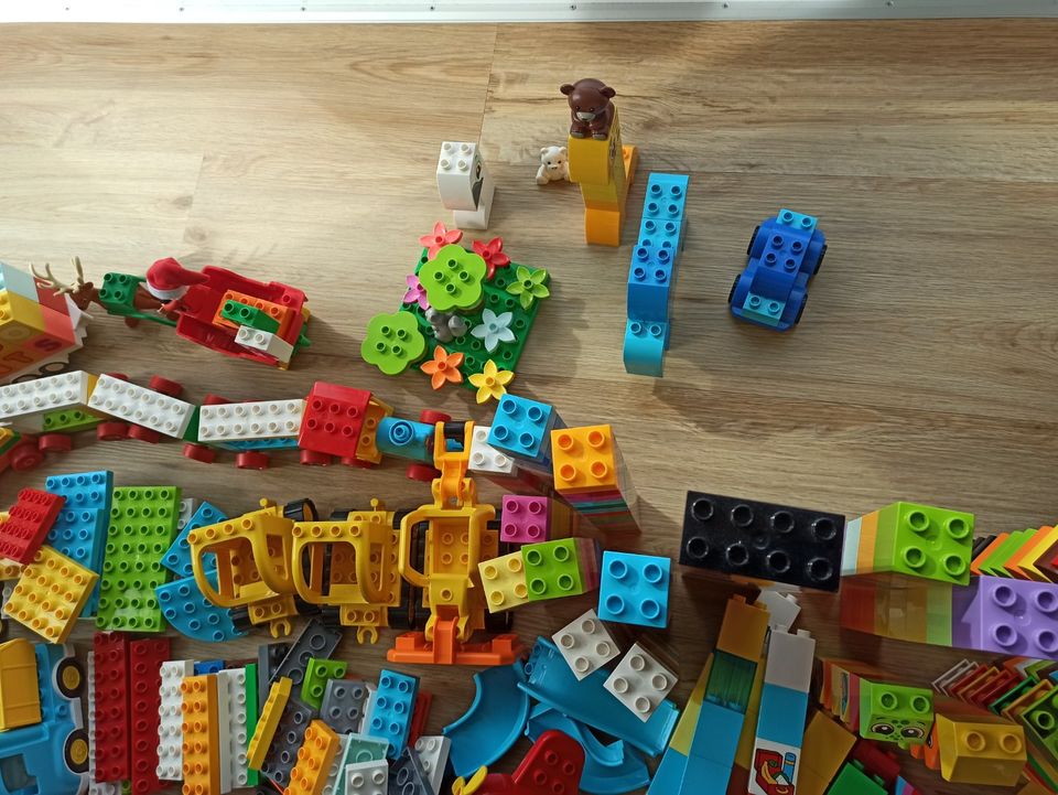 Lego Duplo - große Sammlung Auflösung +9kg in Pfakofen