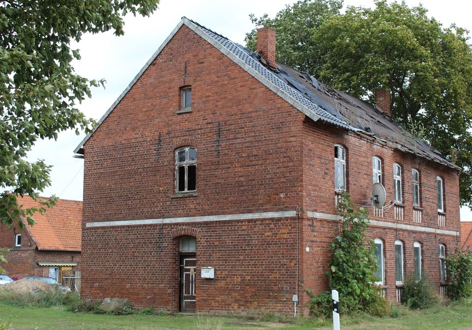 Liegenschaft für Mensch und Tier. Wohnen, Landwirtschaft, Tierhaltung, in Stolzenau