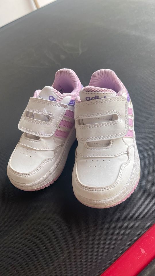 Baby Schuhe Adidas gr 23 in Neunkirchen Siegerland