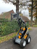 Skidsteer Lader Giant SK202 D | Minilader Nordrhein-Westfalen - Hopsten Vorschau