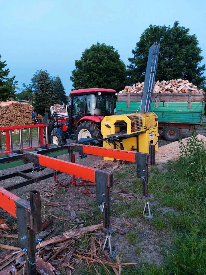 Sägespalter, Brennholz,Sägespaltautomat,Forst in Bechhofen