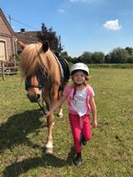 Ponytag Ponytage auf dem Reiterhof Nordrhein-Westfalen - Dülmen Vorschau