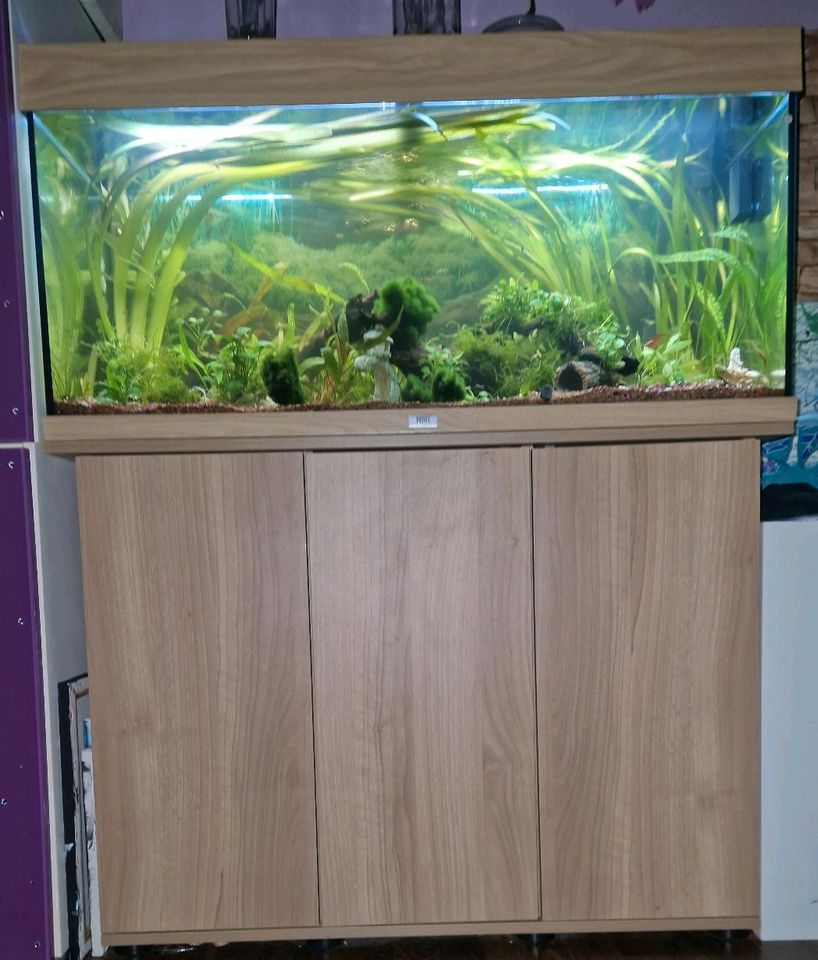 Aquarium komplett set Juwel Rio 180l mit Zubehör. in Unterschleißheim