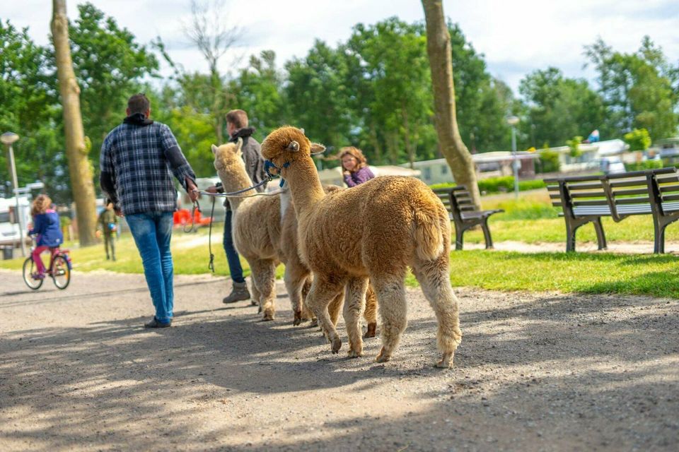 5 Tage Urlaub und Entspannung in FeWo auf Campingplatz in Rhede