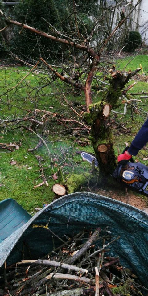 Gartenarbeiten - Gartenpflege, wir sind für Sie da in Hamburg