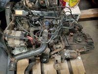 Golf 2 1,6l PN Motor Schleswig-Holstein - Aukrug Vorschau