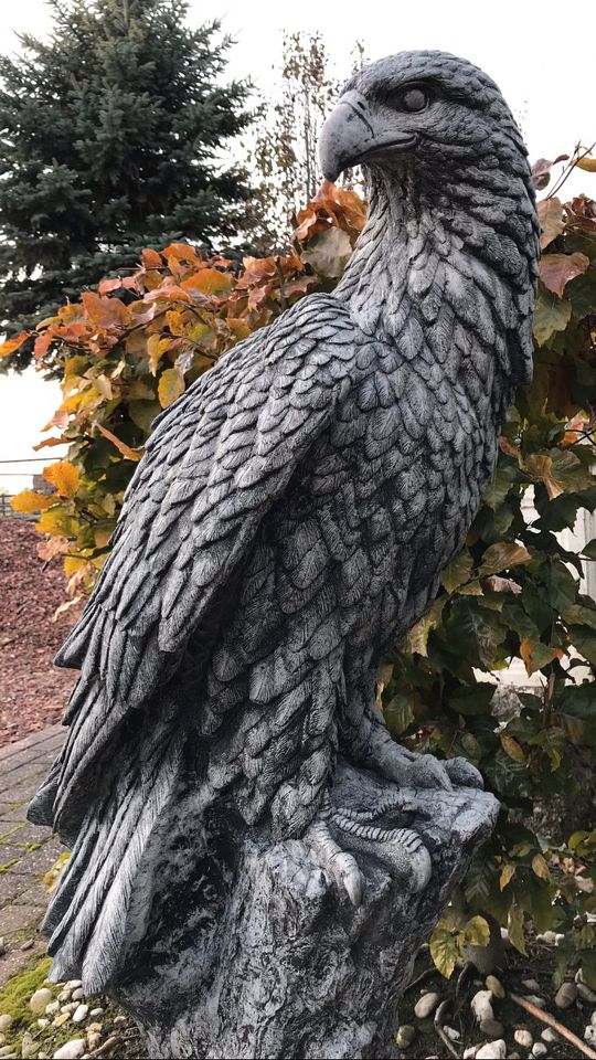 ‼️Adler 100kg 106cm Steinadler Seeadler Greifvogel Eagle Harley‼️ in Kleve