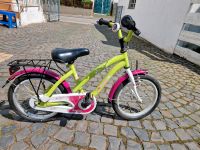 Kinderfahrrad Rheinland-Pfalz - Weitersburg Vorschau